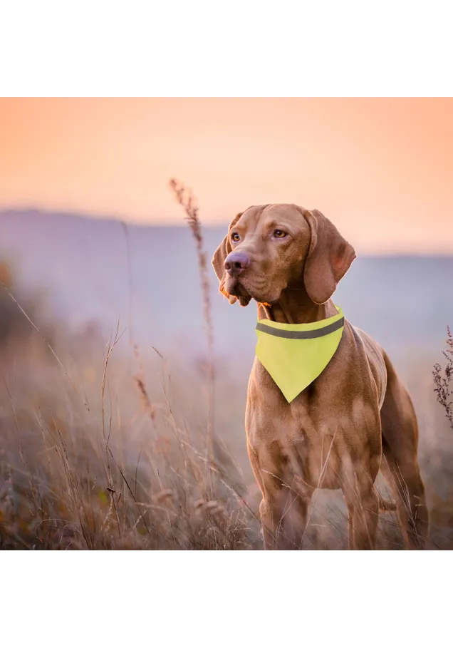 Collar Bandana Bipols Reflectante. Ajustable