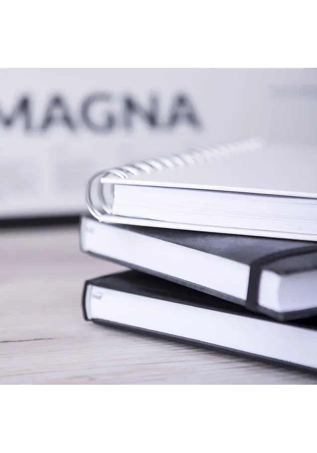 Agenda Cannes Página Día