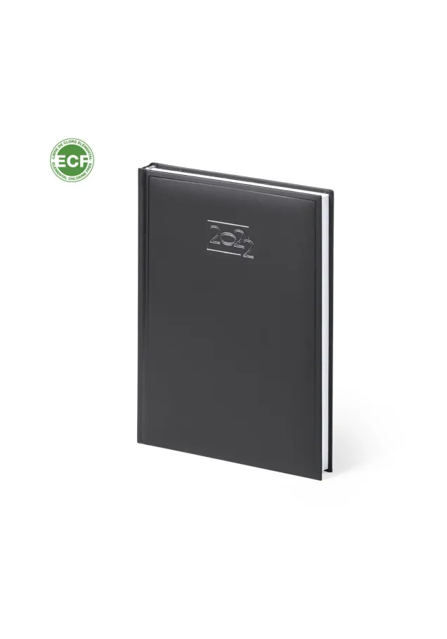 Agenda Cannes Página Día