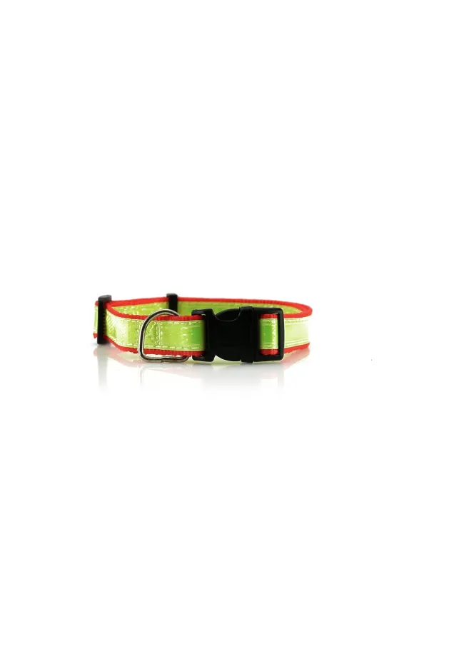 Collar Muttley Reflectante. Ajustable