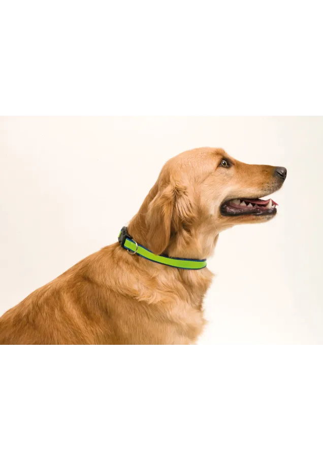 Collar Muttley Reflectante. Ajustable